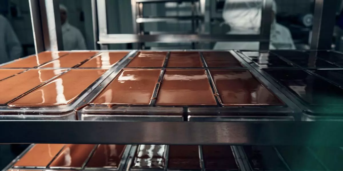 Как делают белый и молочный шоколад на фабрике кинорежиссера
