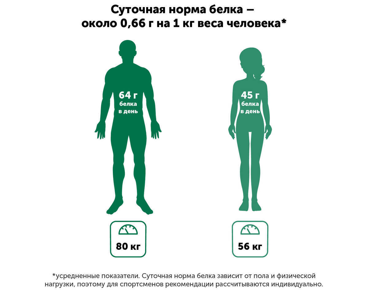 1 Kartinka 1 Чем можно заменить мясной белок
